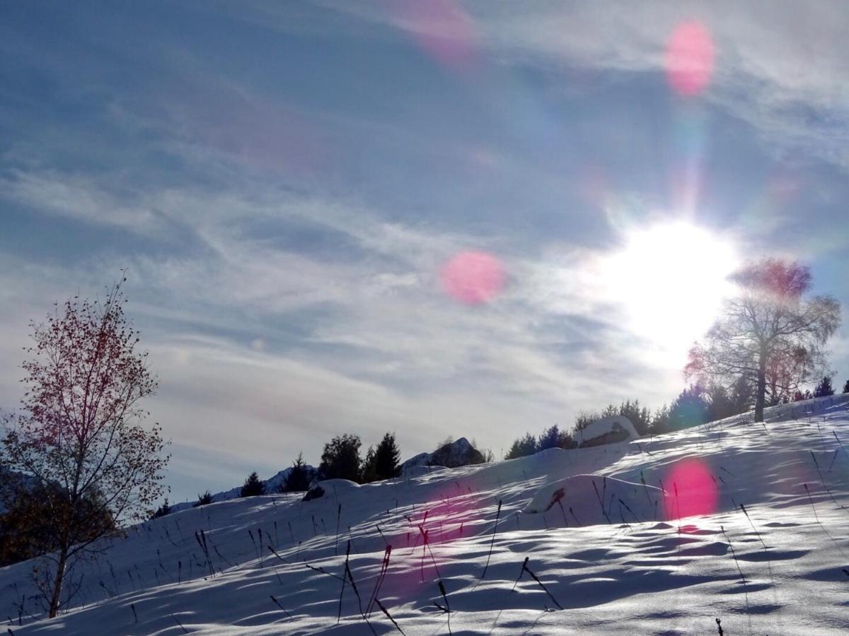 L'AnsloBoys Montagne A2 Leilighet Les Deux Alpes Eksteriør bilde