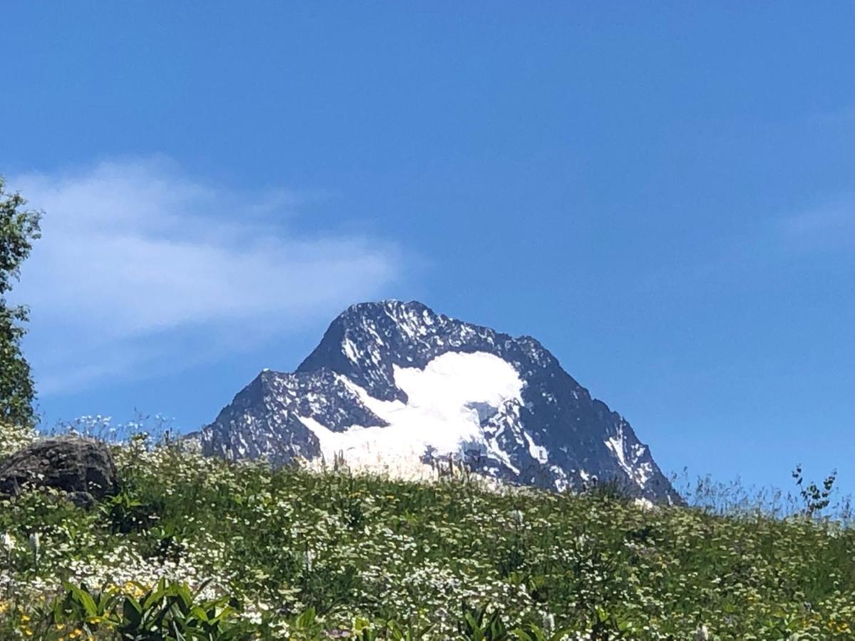 L'AnsloBoys Montagne A2 Leilighet Les Deux Alpes Eksteriør bilde