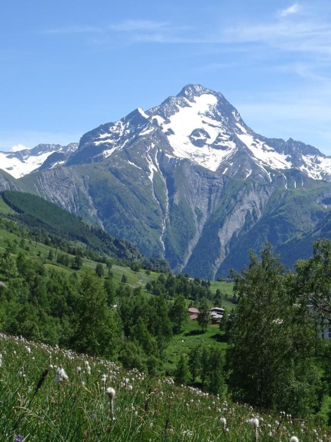 L'AnsloBoys Montagne A2 Leilighet Les Deux Alpes Eksteriør bilde